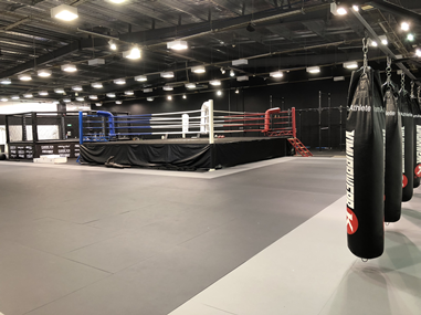 open_gym_preview.png open_gym_preview.png
