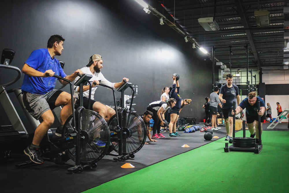 cardio_training.png cardio_training.png