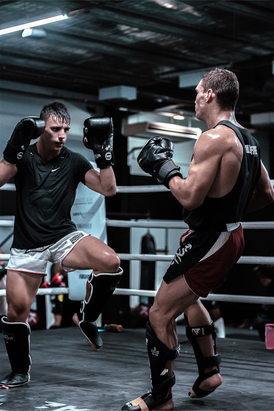 michael_ezra_sparring.jpg michael_ezra_sparring.jpg